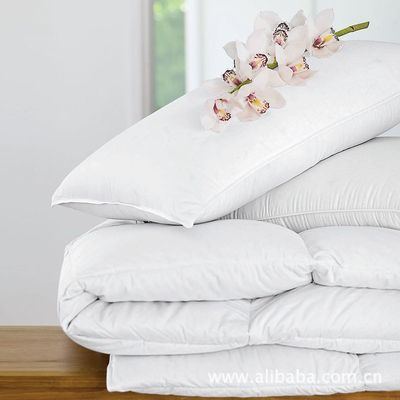 【歌登飛 白色羽絨枕芯 保暖性強,透氣性好.】價格,廠家,圖片,枕頭、枕芯、保健枕,深圳市三鴻羽絨制品(銷售部)-