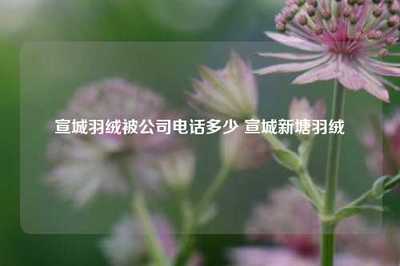 宣城羽絨被公司電話多少 宣城新塘羽絨